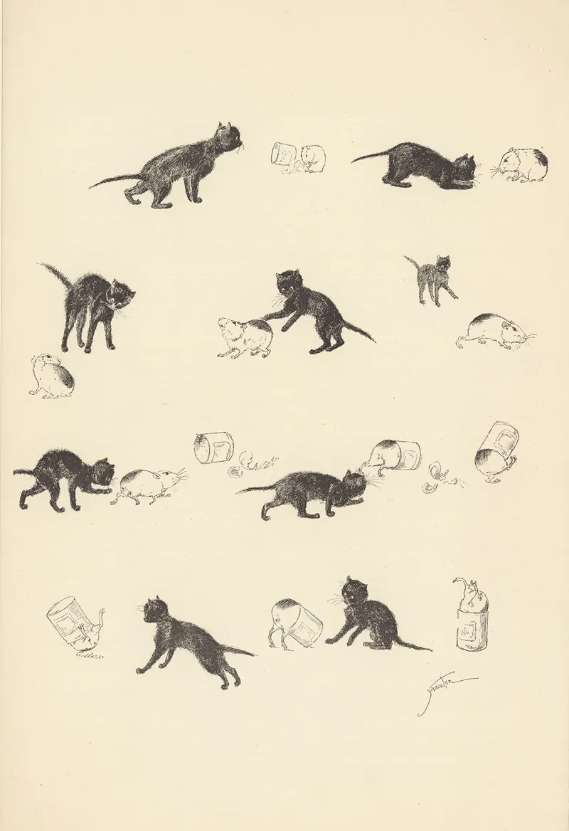 Le Chat Et Le Cochon Dinde by Théophile Alexandre Steinlen - Canvas Print