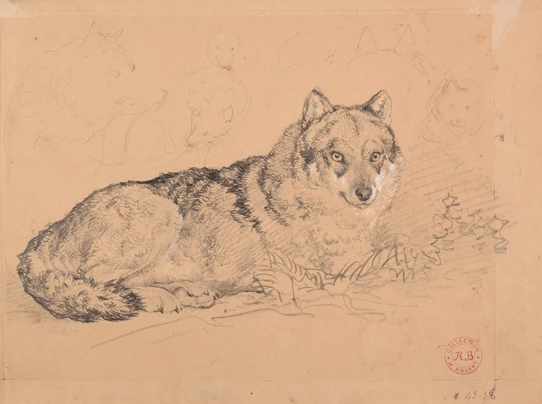 Le Loup