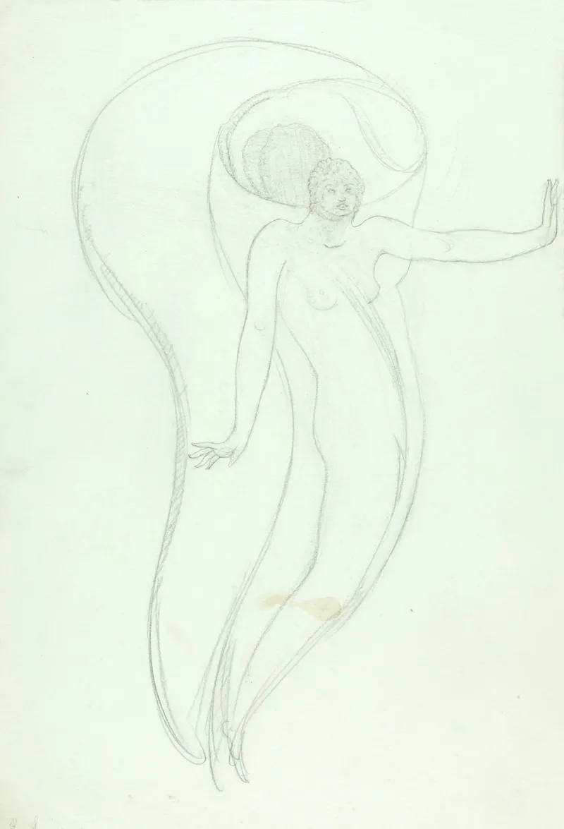 Le Lys Casse The Broken Lily