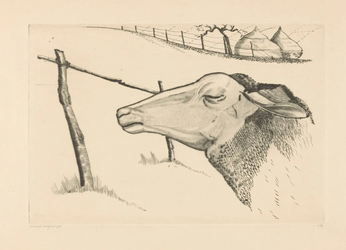 Le Mouton Endormi by Lodewijk Schelfhout - Canvas Print