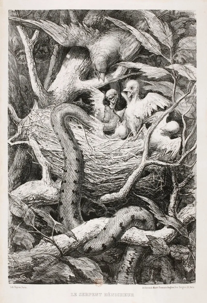 Le Serpent Denicheur