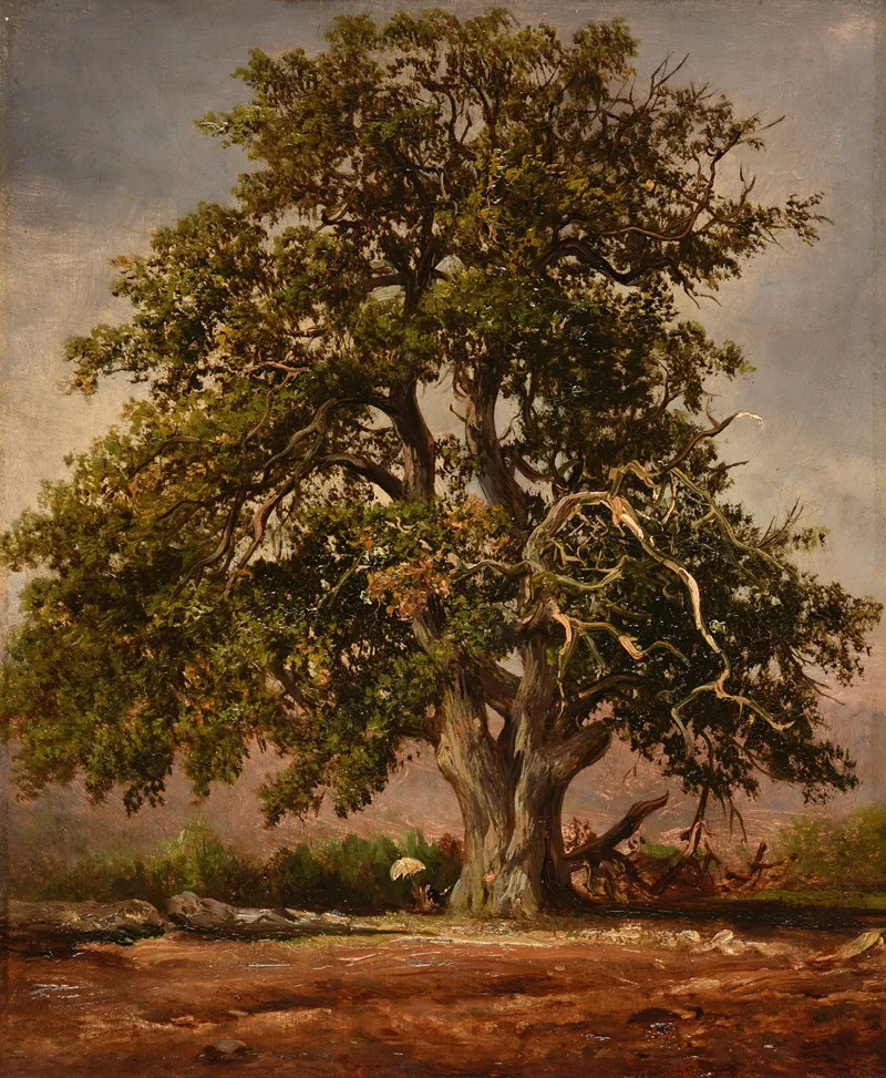 Le Vieux Chene 2