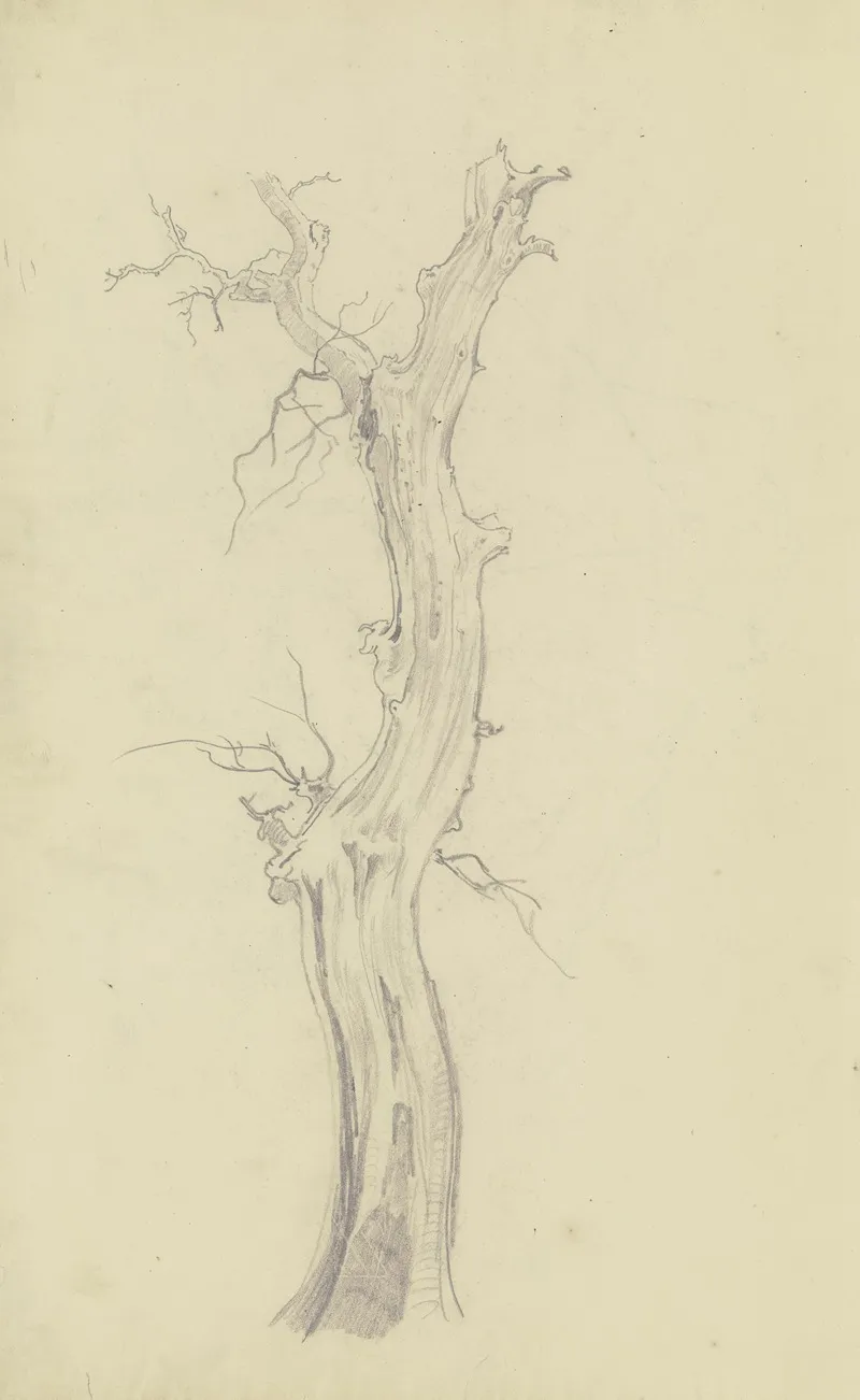 Leafless Tree by August Lucas - Canvas Print