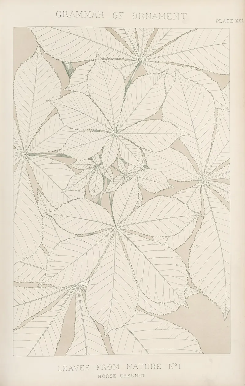 Leaves From Nature No 1 2 by Owen Jones - Canvas Print