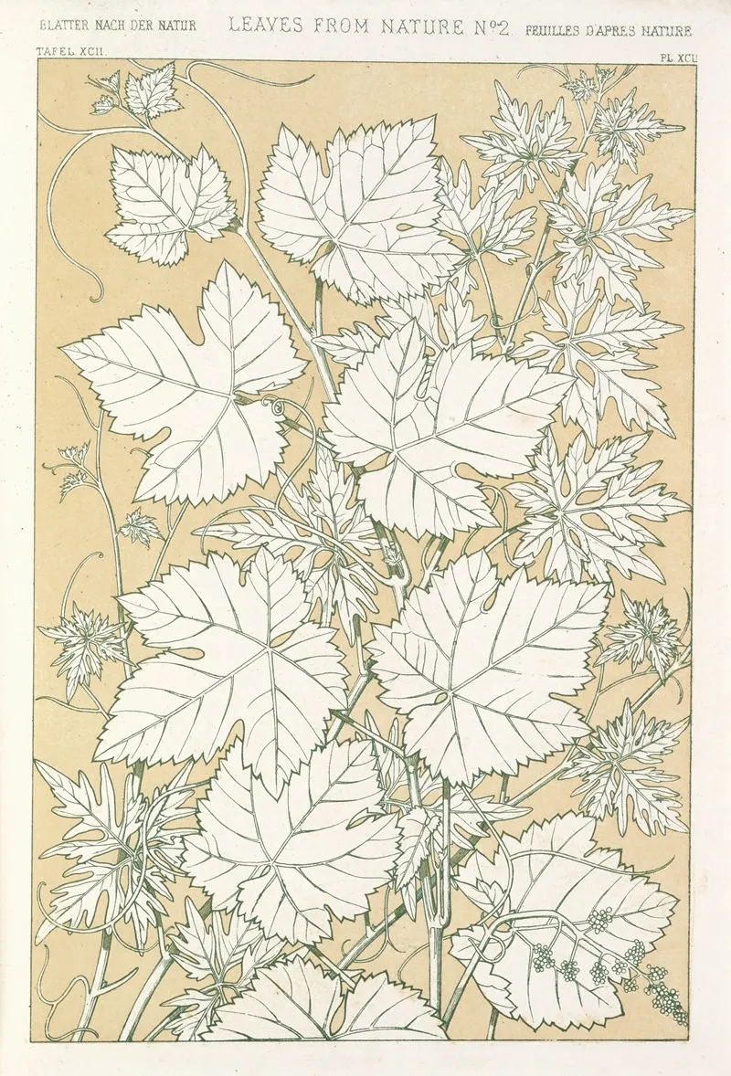 Leaves From Nature No 2
