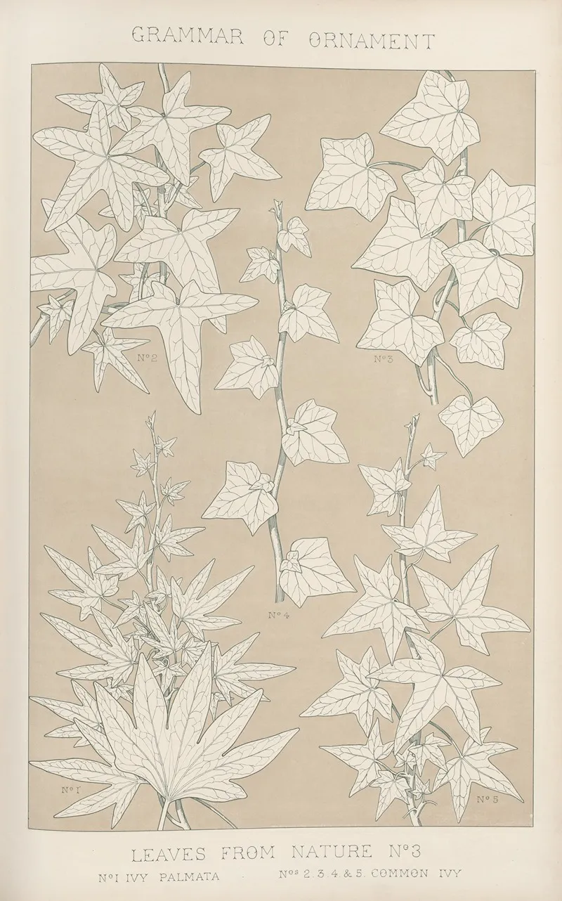 Leaves From Nature No 3 2