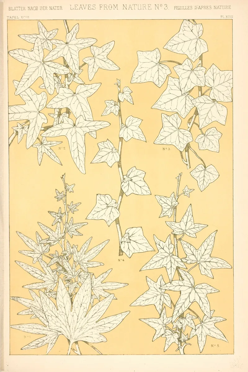 Leaves From Nature No 3 3