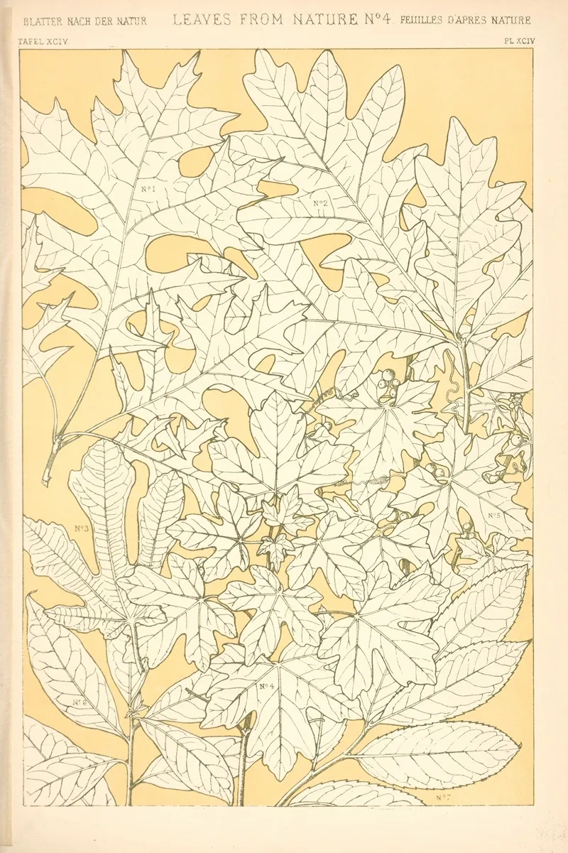 Leaves From Nature No 4 3