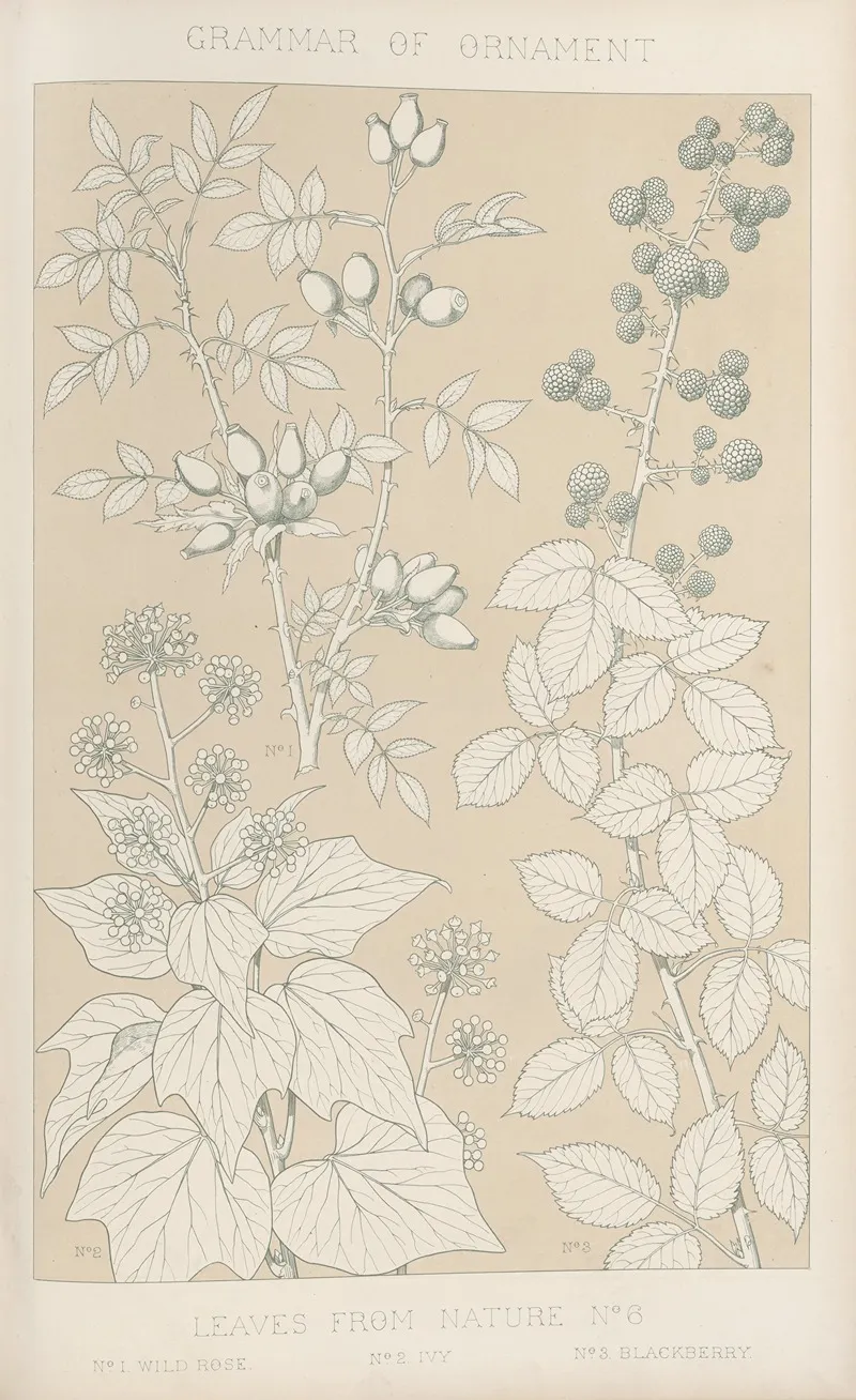 Leaves From Nature No 6 2