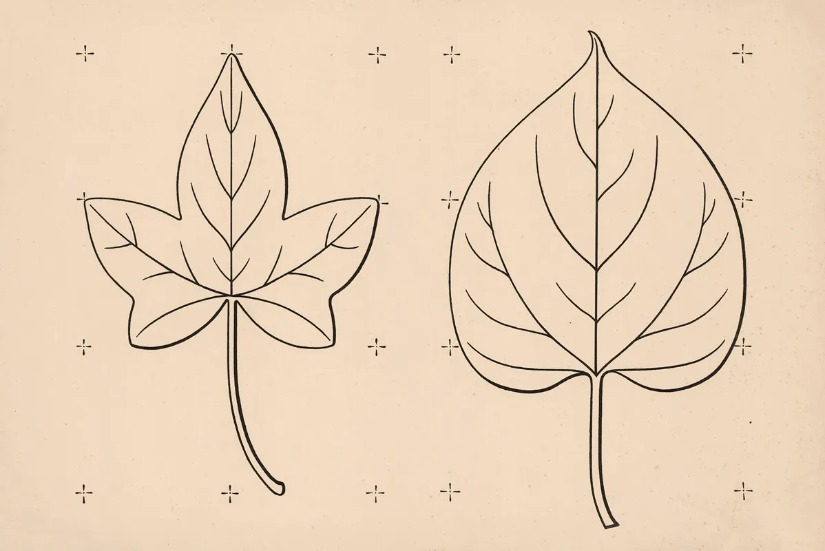 Leaves