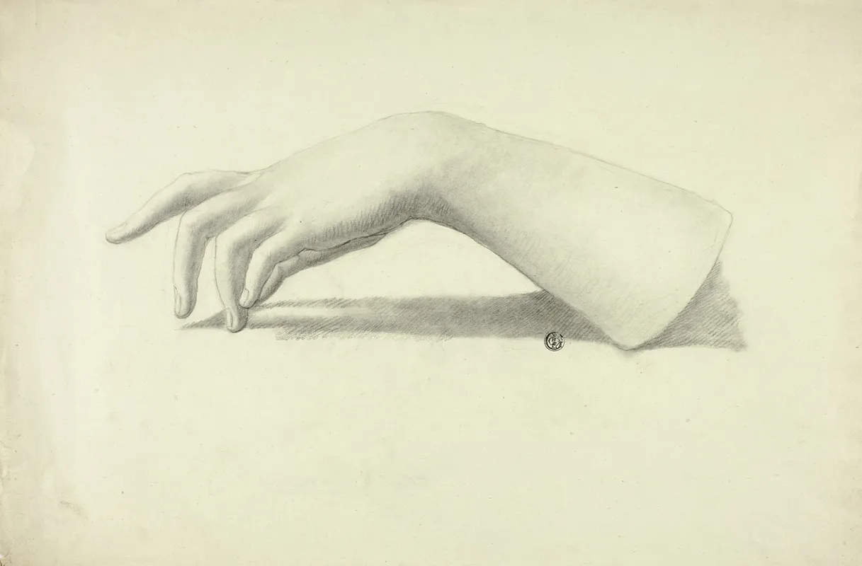 Left Forearm And Hand 2