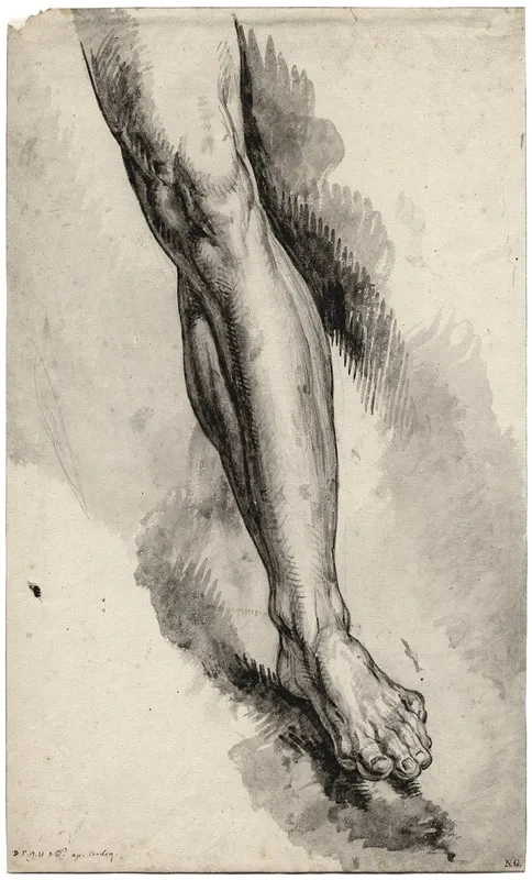 Left Leg After An Antique Statue