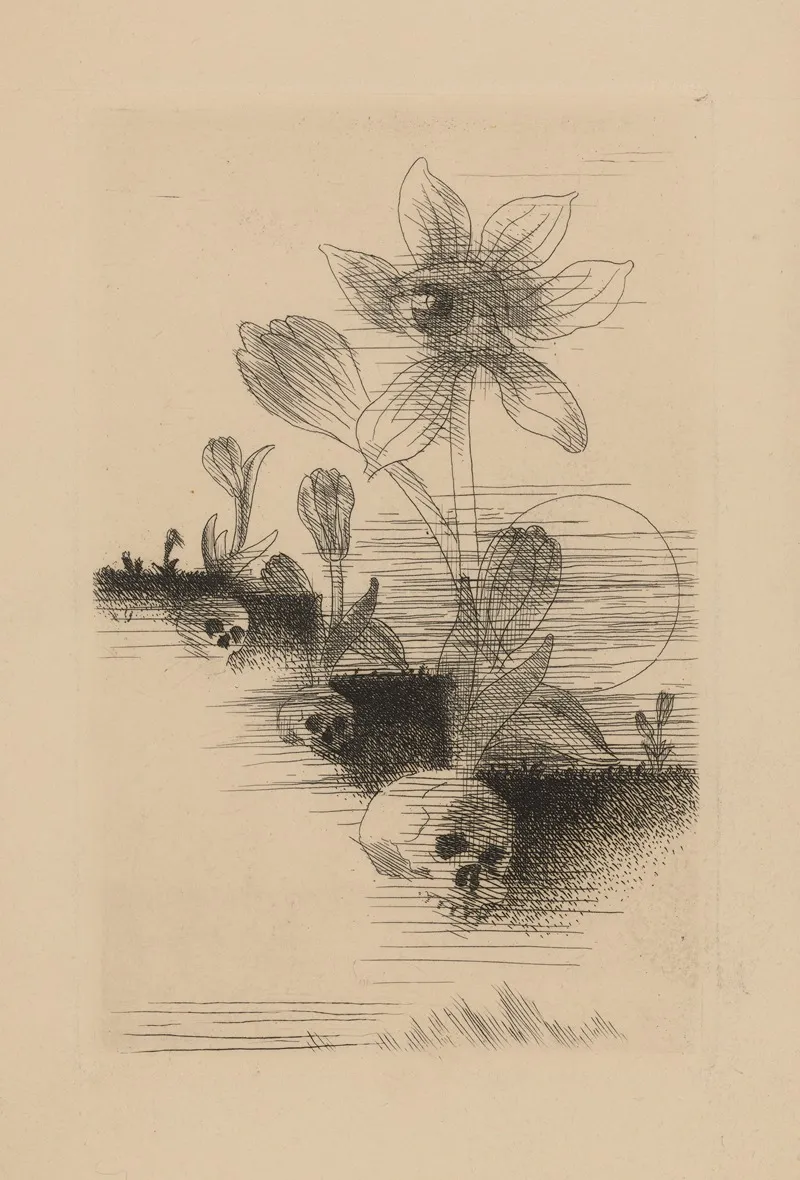 Les Colchiques by Louis Marcoussis - Canvas Print