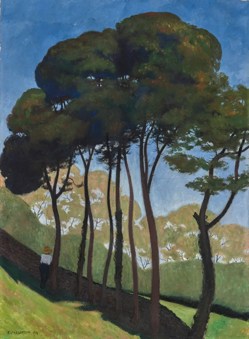 Les Grands Arbres Environs Dhonfleur by Félix Vallotton - Canvas Print
