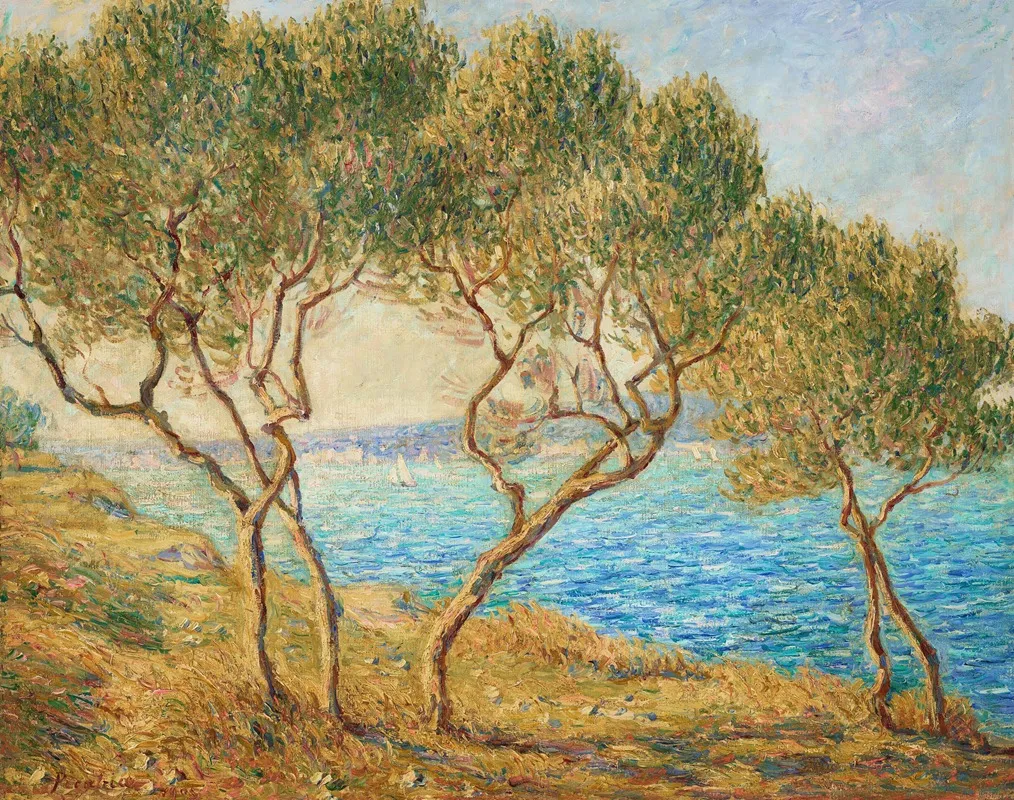 Les Oliviers Effet De Soleil Aux Martigues by Francis Picabia - Canvas Print