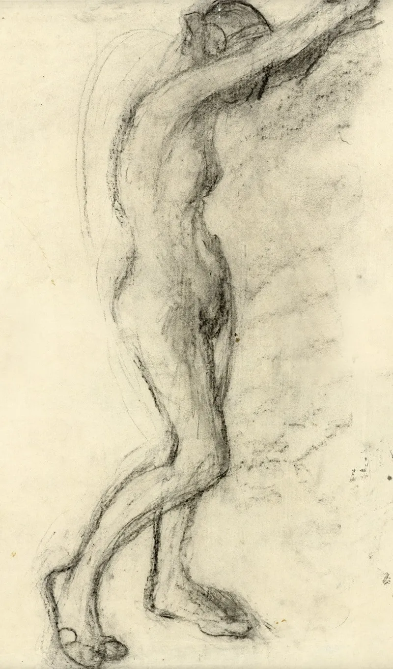 Lichaam 7