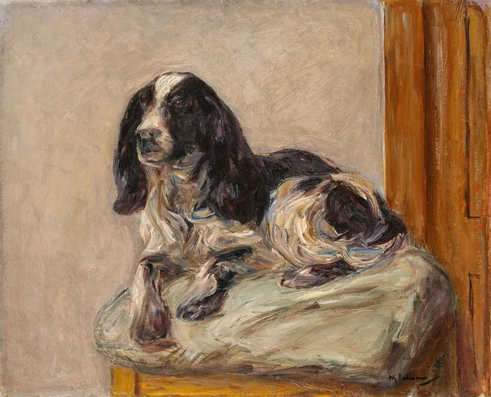 Liegender Spaniel by Max Liebermann - Canvas Print