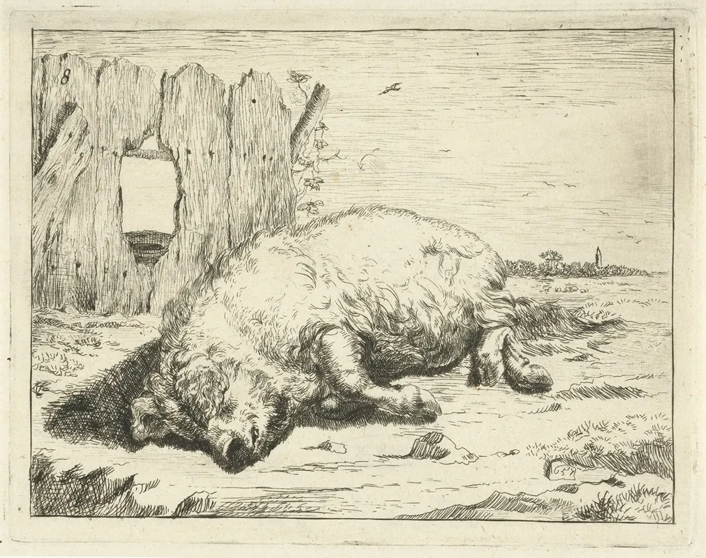 Liggend Varken by Marcus de Bye - Canvas Print