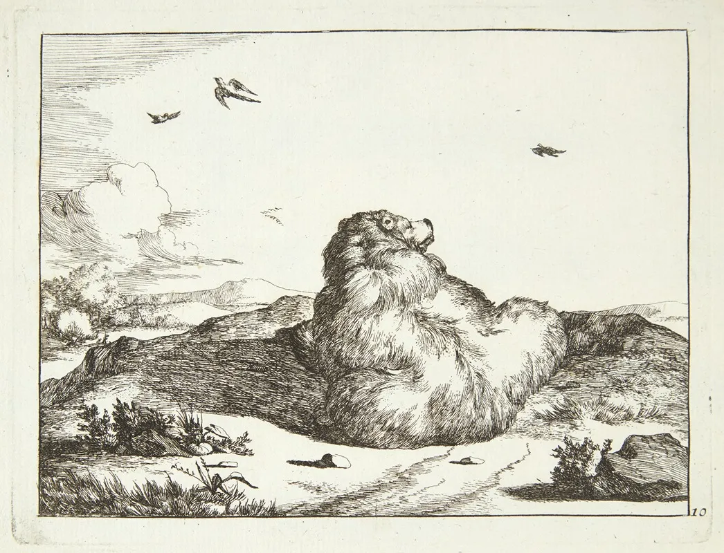 Liggende Bjorn Set Bagfra