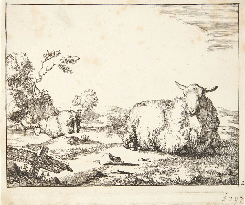 Liggende Far 2 by Marcus de Bye - Canvas Print