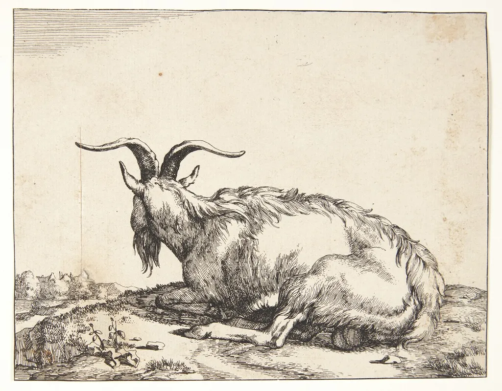 Liggende Ged 2 by Marcus de Bye - Canvas Print