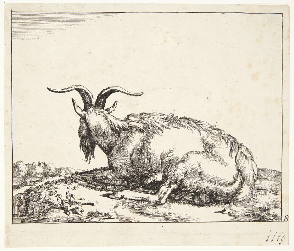 Liggende Ged 5 by Marcus de Bye - Canvas Print