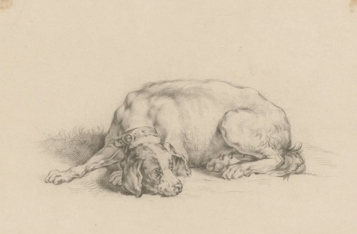 Liggende Hond 2 by August Allebé - Canvas Print