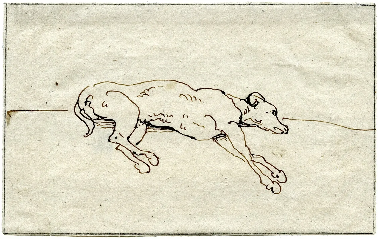 Liggende Hond by David Humbert de Superville - Canvas Print
