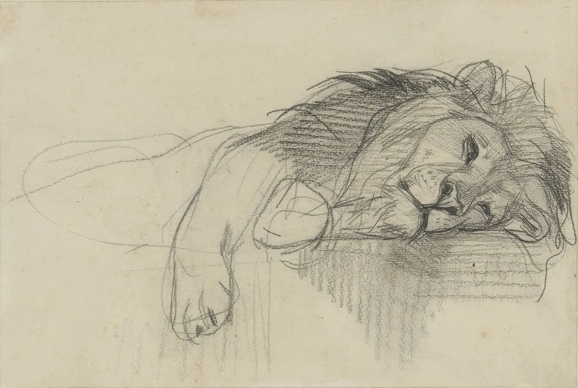 Liggende Leeuw 2 by August Allebé - Canvas Print