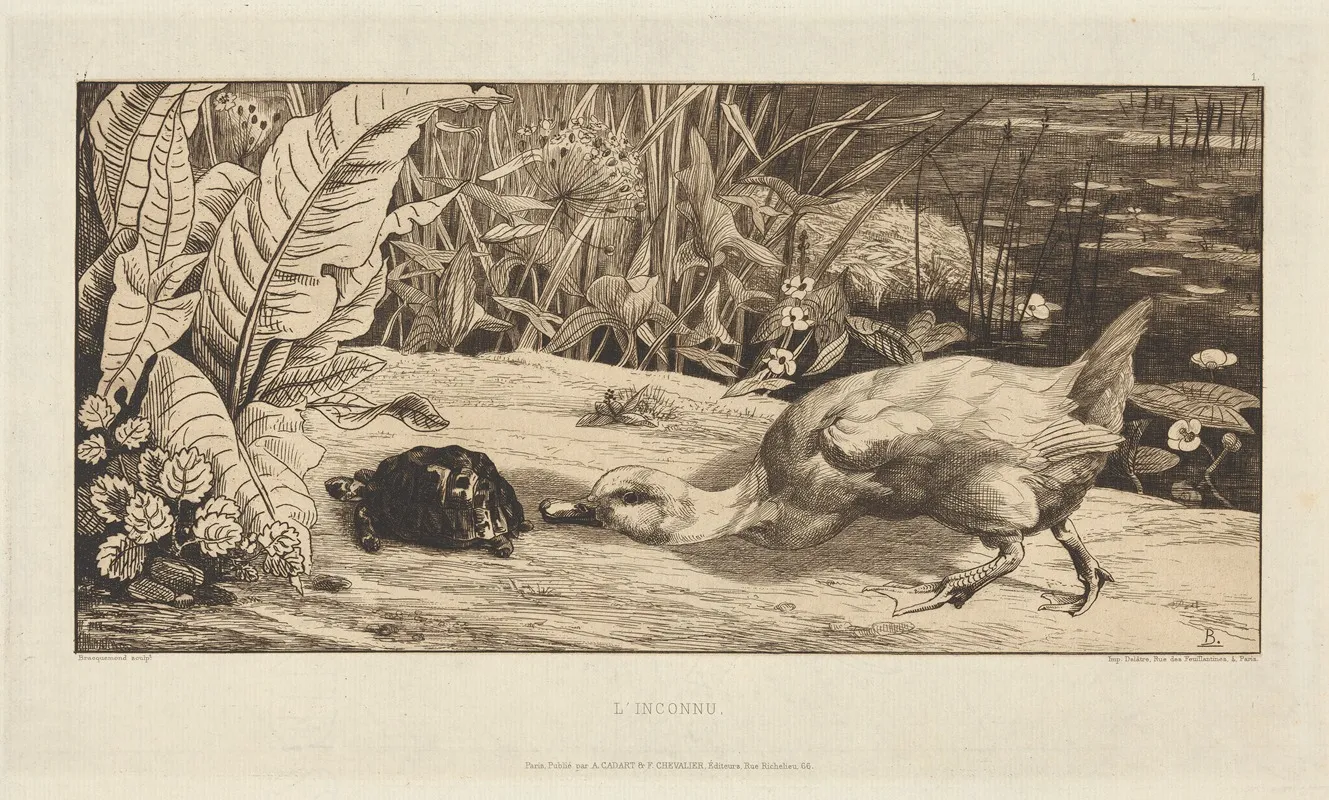 Linconnu The Unknown 2 by Félix Bracquemond - Canvas Print