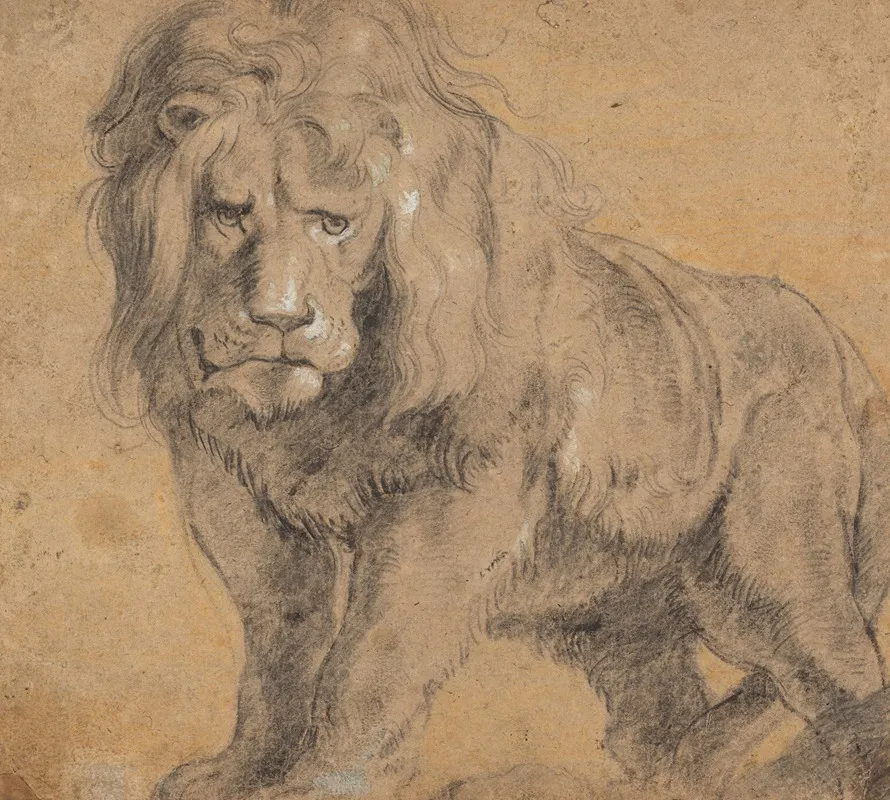 Lion 3