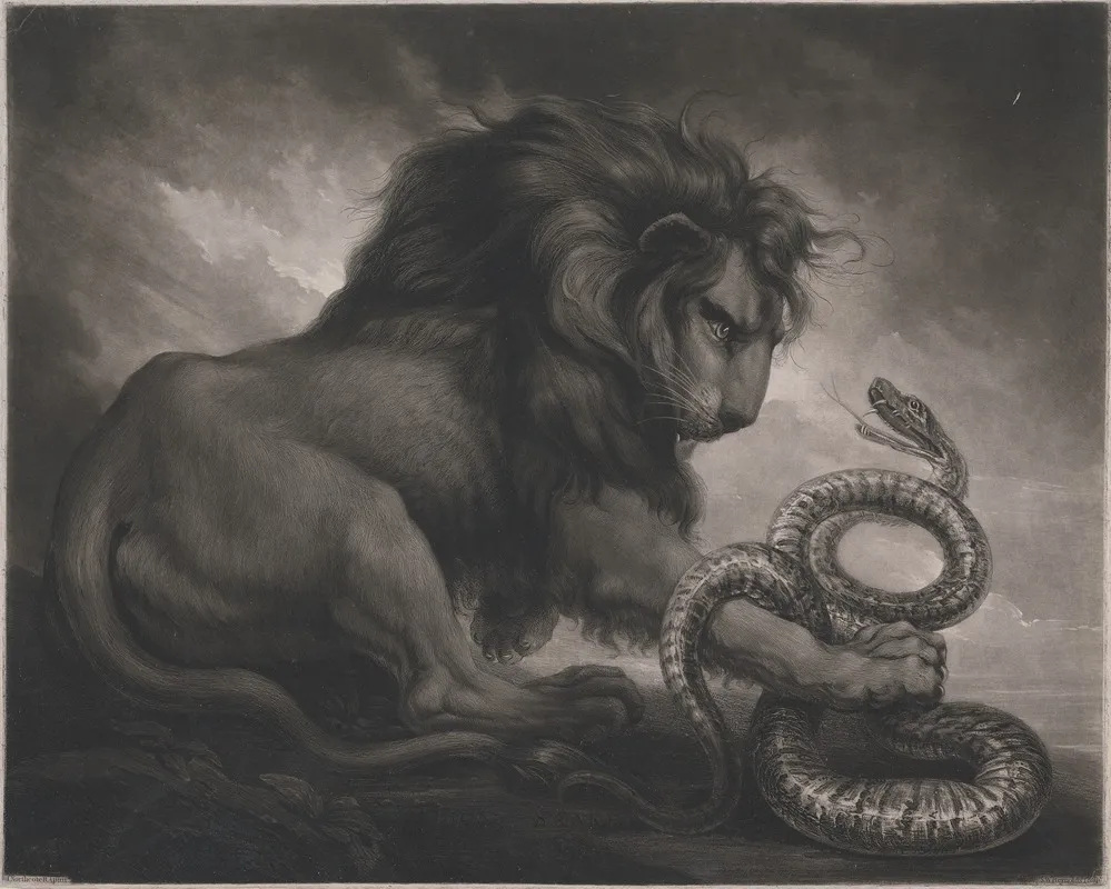 Lion And Snake