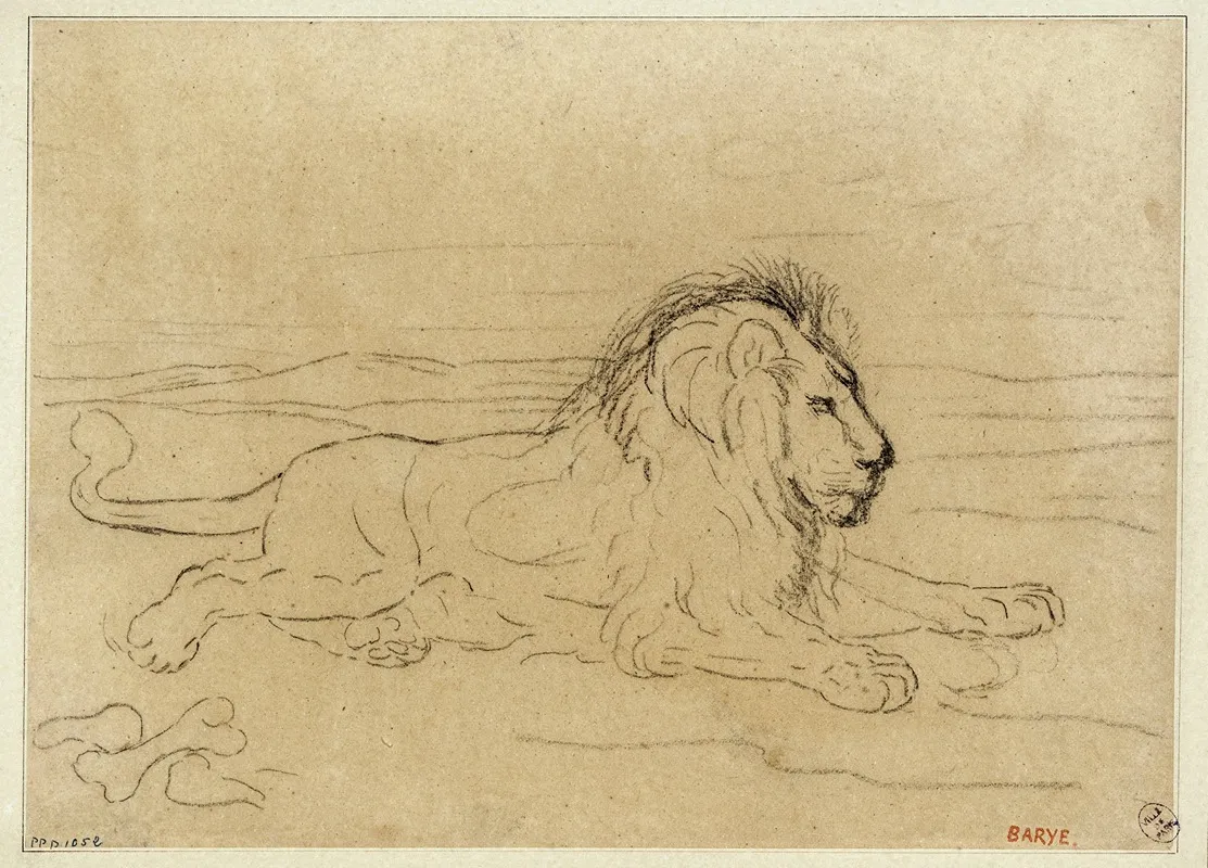 Lion Couche