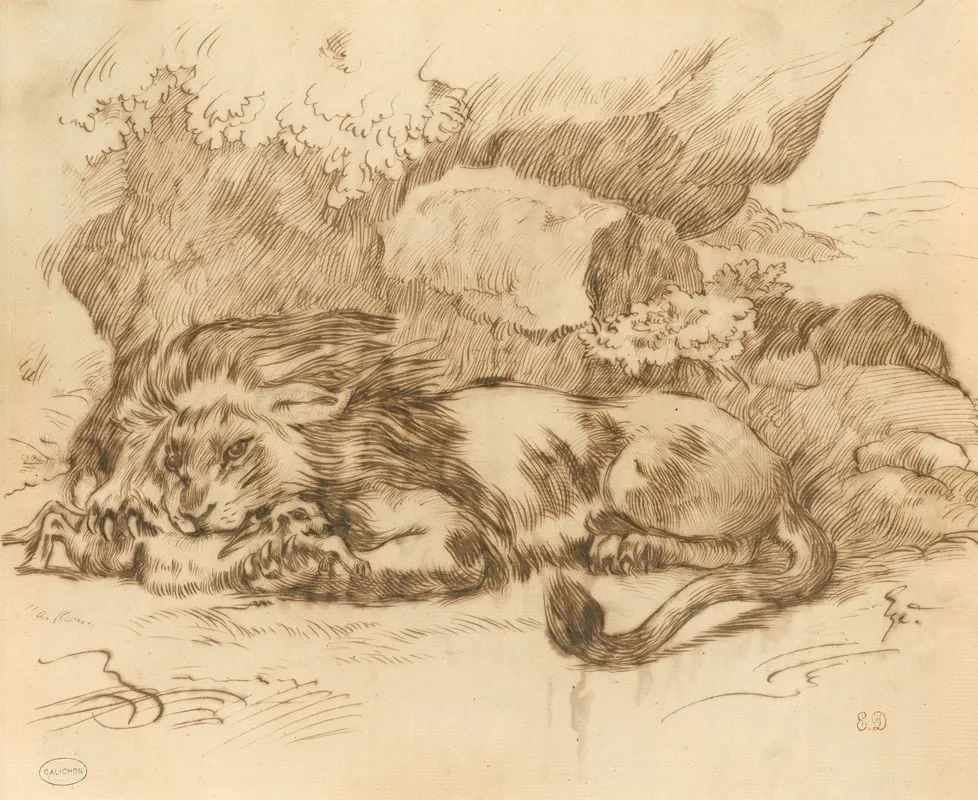 Lion Devouring A Rabbit