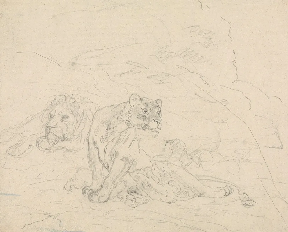Lion Family
