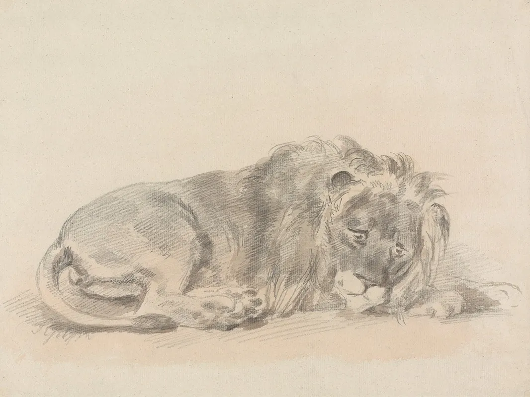Lion Lying Down 2