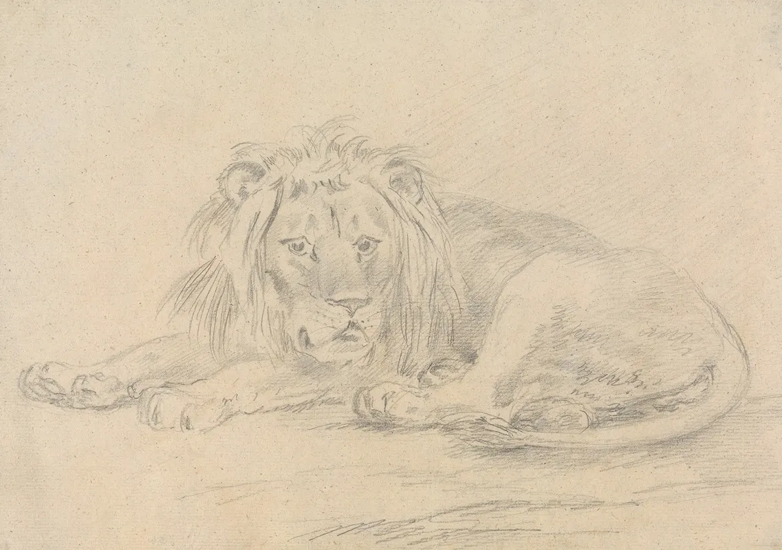 Lion Lying Down 3
