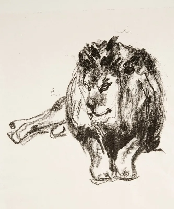 Lion Lying Down by Edvard Munch - Canvas Print