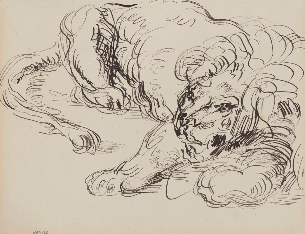 Lion Resting