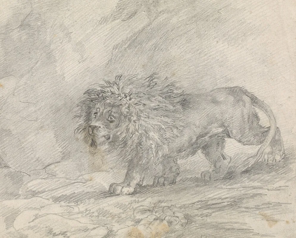 Lion Walking In Rocky Landscape