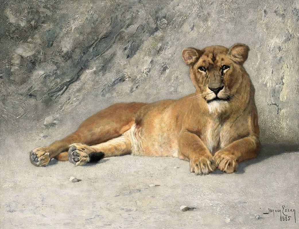 Lioness Resting