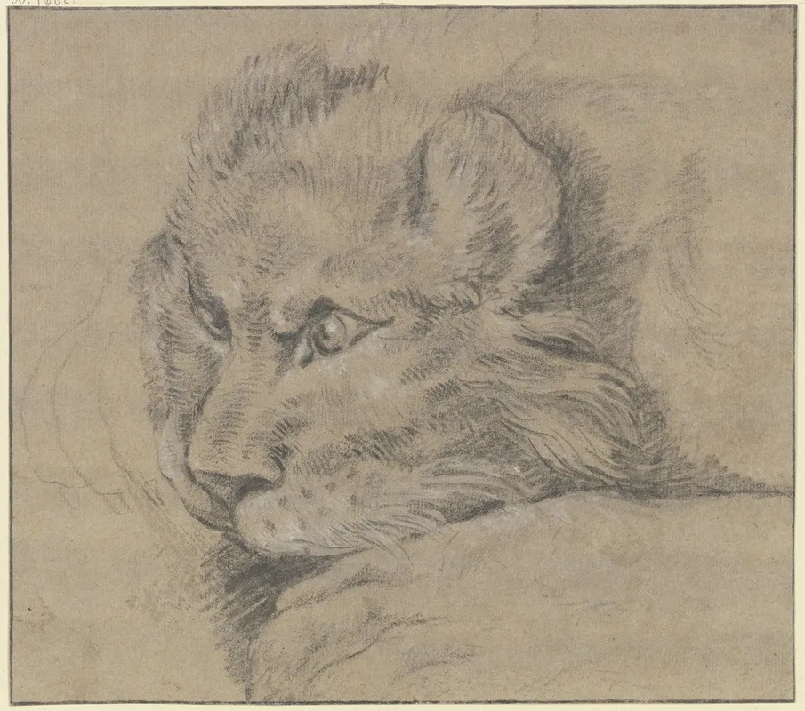 Lions Head 2