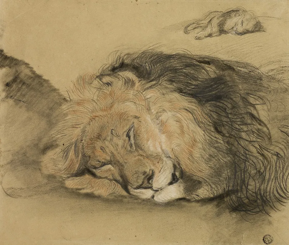 Lions Head And Sketch Of A Lion