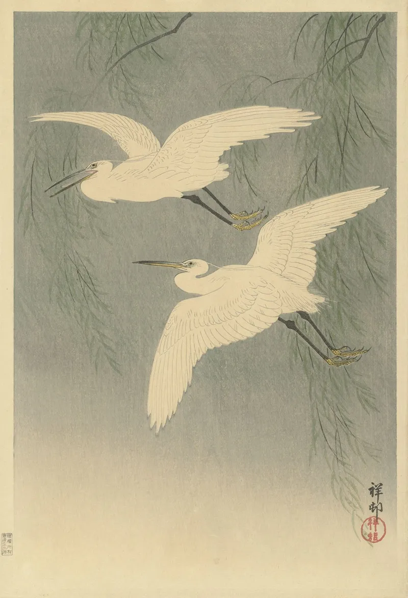 Little Egrets In Flight