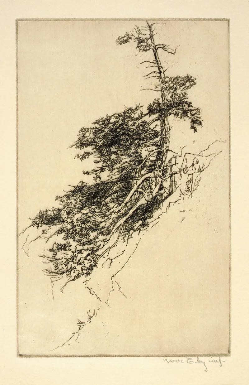 Little Rock Pine by Kerr Eby - Canvas Print