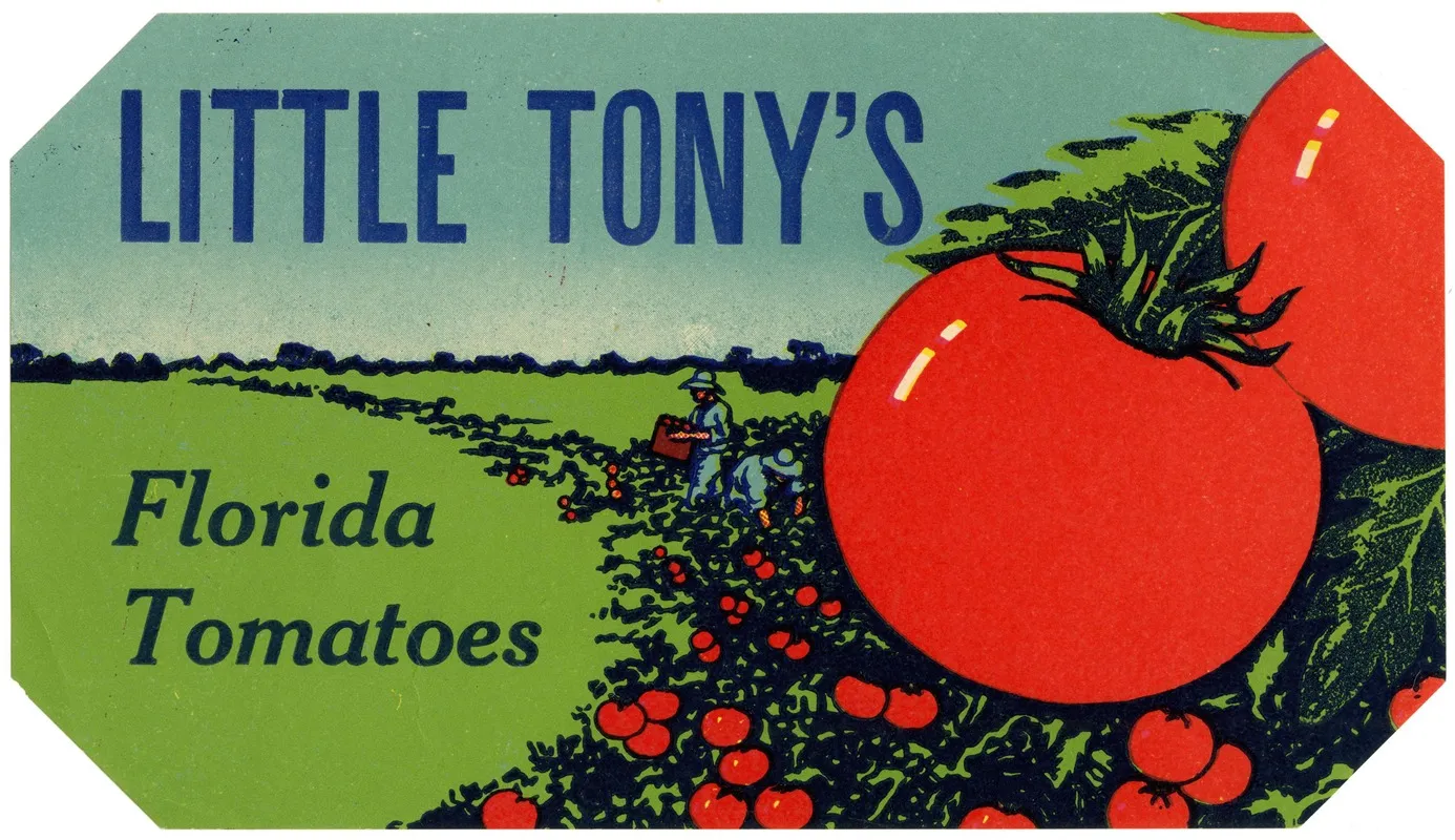 Little Tonys Florida Tomatoes Label