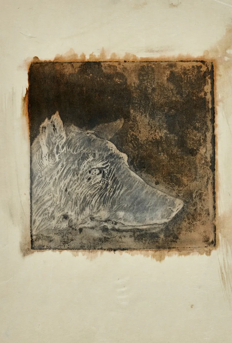 Loup by Pierre Roche - Canvas Print