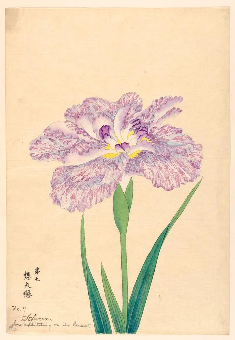 Love Meditating On Its Consort Sofuren