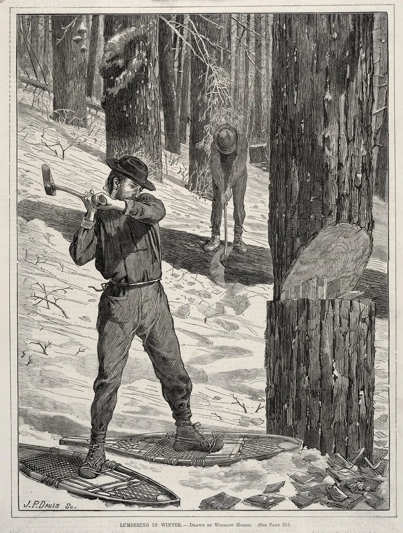 Lumbering In Winter