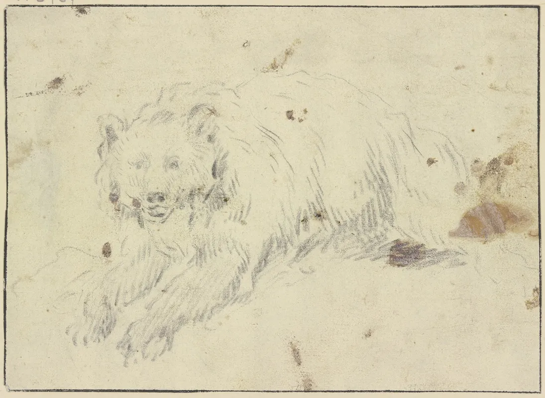 Lying Bear To The Left